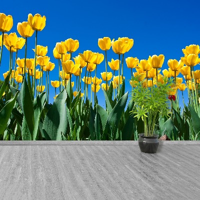 Zelfklevend fotobehang Tulpen bloemen