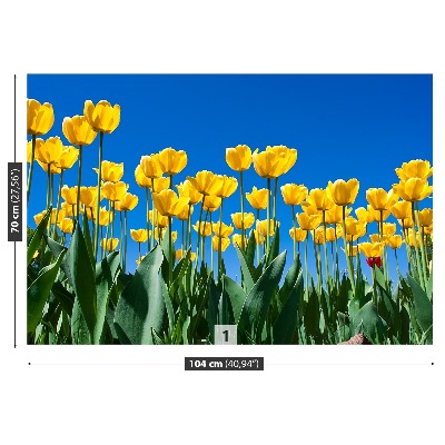 Zelfklevend fotobehang Tulpen bloemen