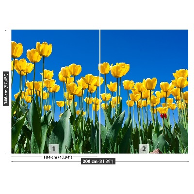 Zelfklevend fotobehang Tulpen bloemen