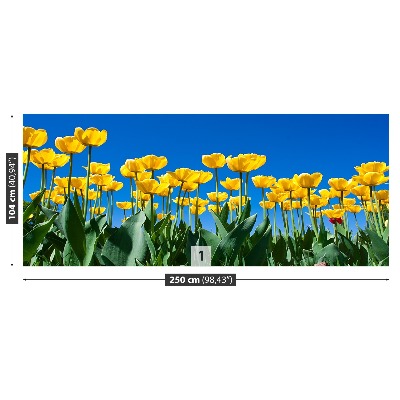 Zelfklevend fotobehang Tulpen bloemen