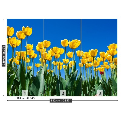 Zelfklevend fotobehang Tulpen bloemen