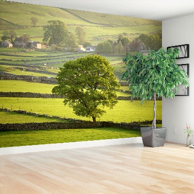 Fotobehang Engeland derbyshire