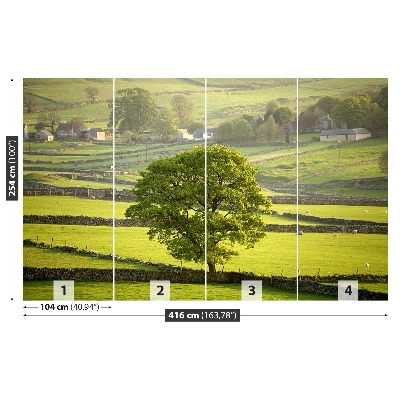 Fotobehang Engeland derbyshire