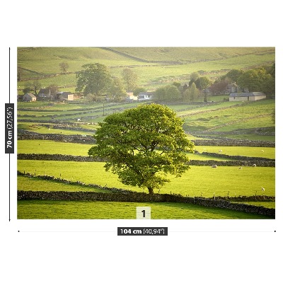 Fotobehang Engeland derbyshire