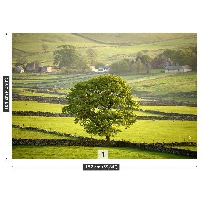 Fotobehang Engeland derbyshire