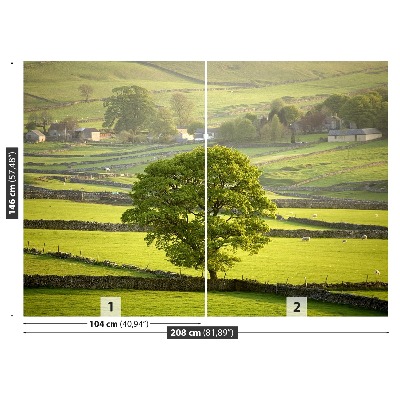 Fotobehang Engeland derbyshire