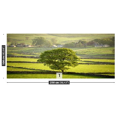 Fotobehang Engeland derbyshire