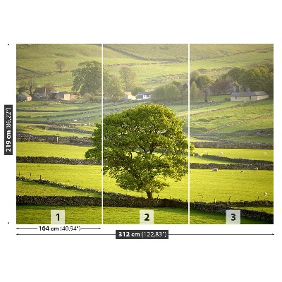 Fotobehang Engeland derbyshire