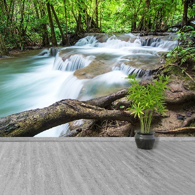 Fotobehang Waterval in het bos