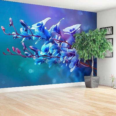 Zelfklevend fotobehang Orchideeënblauw