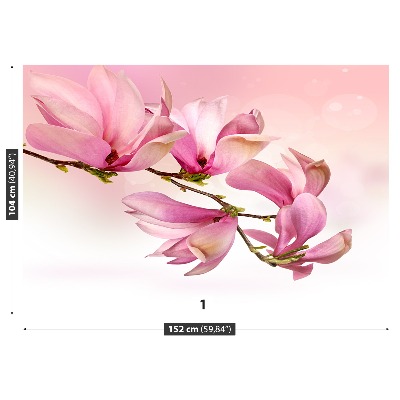 Zelfklevend fotobehang Magnolia