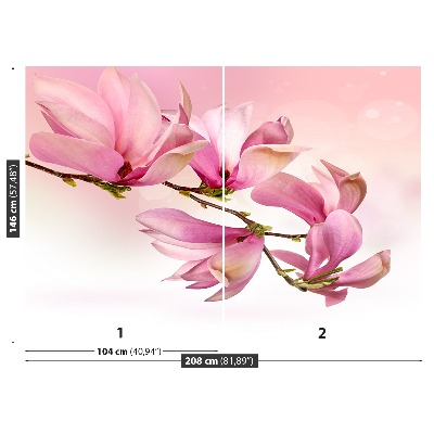 Zelfklevend fotobehang Magnolia