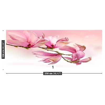 Zelfklevend fotobehang Magnolia