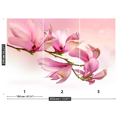 Zelfklevend fotobehang Magnolia