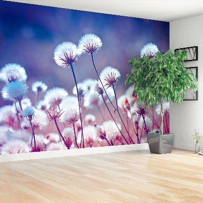 Fotobehang Weide bloemen