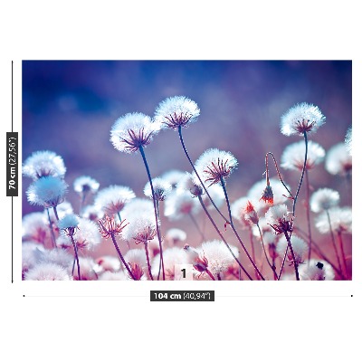 Fotobehang Weide bloemen