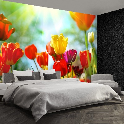 Zelfklevend fotobehang Tulpen bloemen