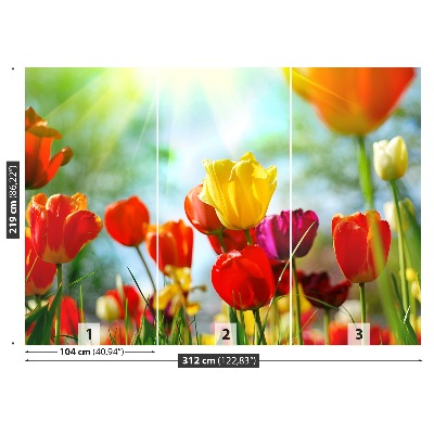 Zelfklevend fotobehang Tulpen bloemen