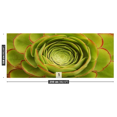 Zelfklevend fotobehang Groene bloem