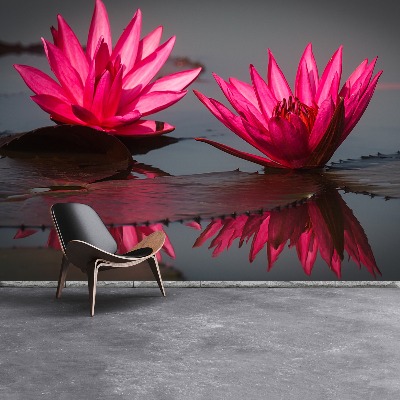 Zelfklevend fotobehang Roze waterlelies