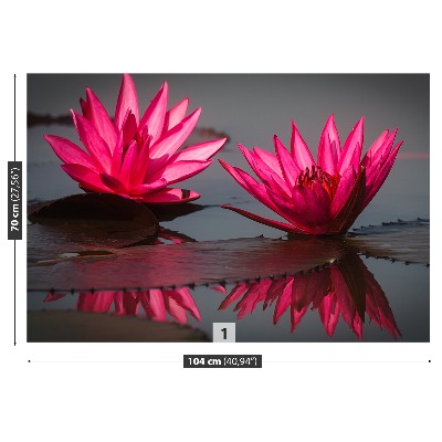 Zelfklevend fotobehang Roze waterlelies