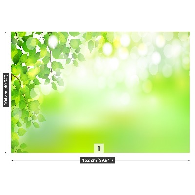 Zelfklevend fotobehang Groene bladeren