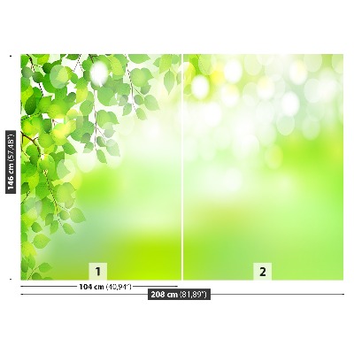 Zelfklevend fotobehang Groene bladeren