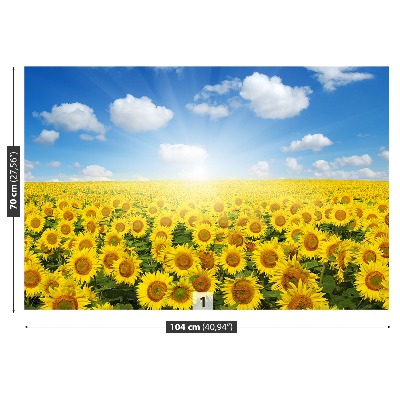 Fotobehang Gebied van zonnebloemen