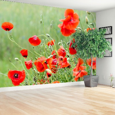 Zelfklevend fotobehang Poppy veld