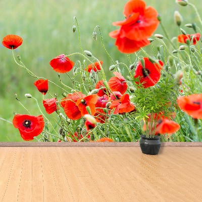 Zelfklevend fotobehang Poppy veld