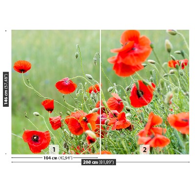 Zelfklevend fotobehang Poppy veld