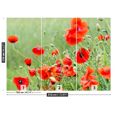 Zelfklevend fotobehang Poppy veld