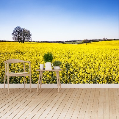 Fotobehang Verkrachting veld