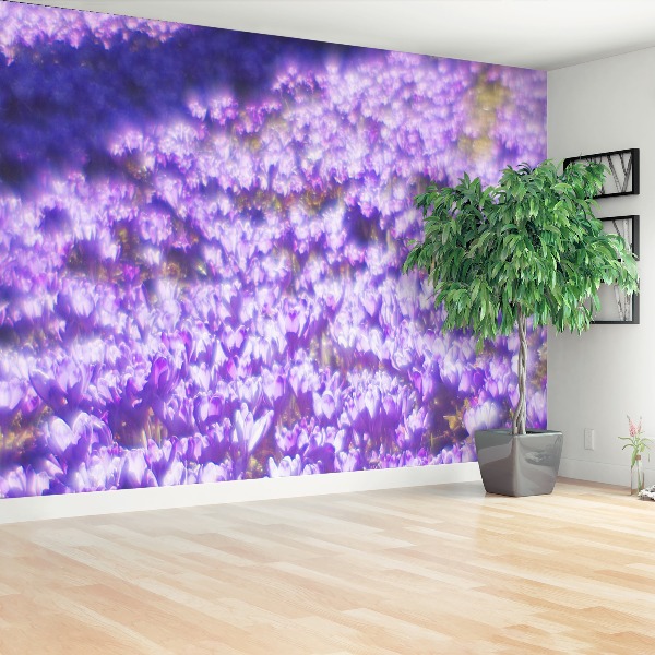 Zelfklevend fotobehang Paarse bloemen