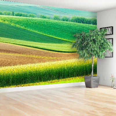 Fotobehang Landelijk landschap