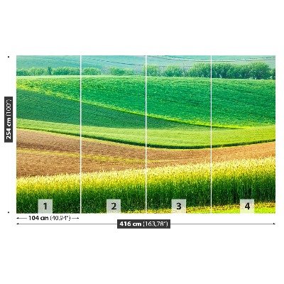 Fotobehang Landelijk landschap