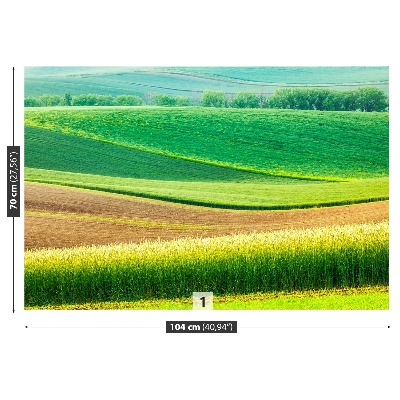 Fotobehang Landelijk landschap