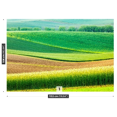 Fotobehang Landelijk landschap