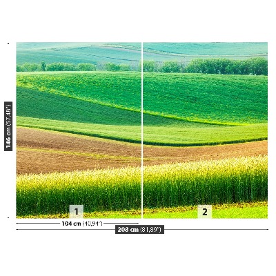 Fotobehang Landelijk landschap