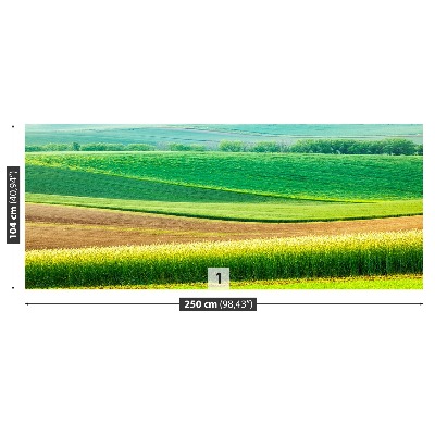 Fotobehang Landelijk landschap