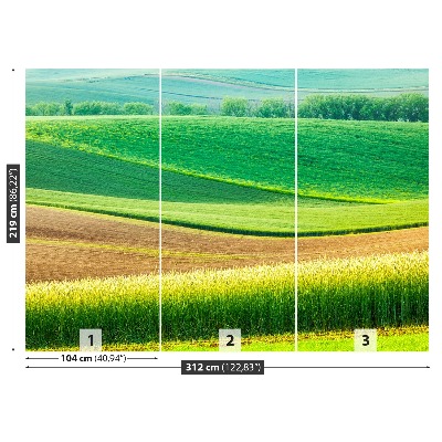 Fotobehang Landelijk landschap