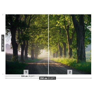 Fotobehang Avenue of trees