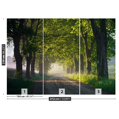 Fotobehang Avenue of trees