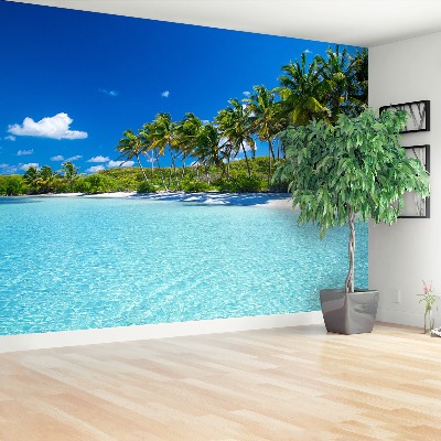 Fotobehang Strandpalm