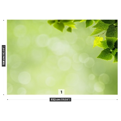 Zelfklevend fotobehang Groene bladeren