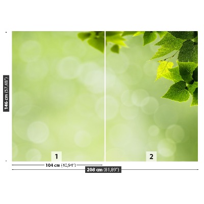 Zelfklevend fotobehang Groene bladeren