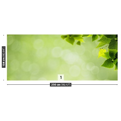 Zelfklevend fotobehang Groene bladeren