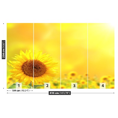 Zelfklevend fotobehang Gele zonnebloemen