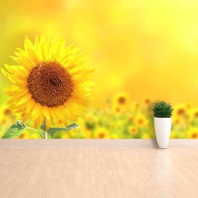 Zelfklevend fotobehang Gele zonnebloemen