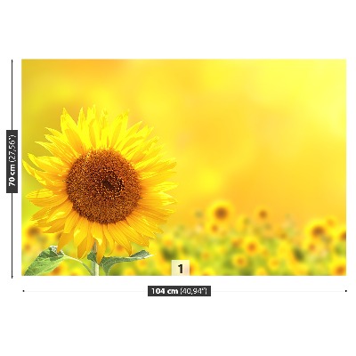 Zelfklevend fotobehang Gele zonnebloemen